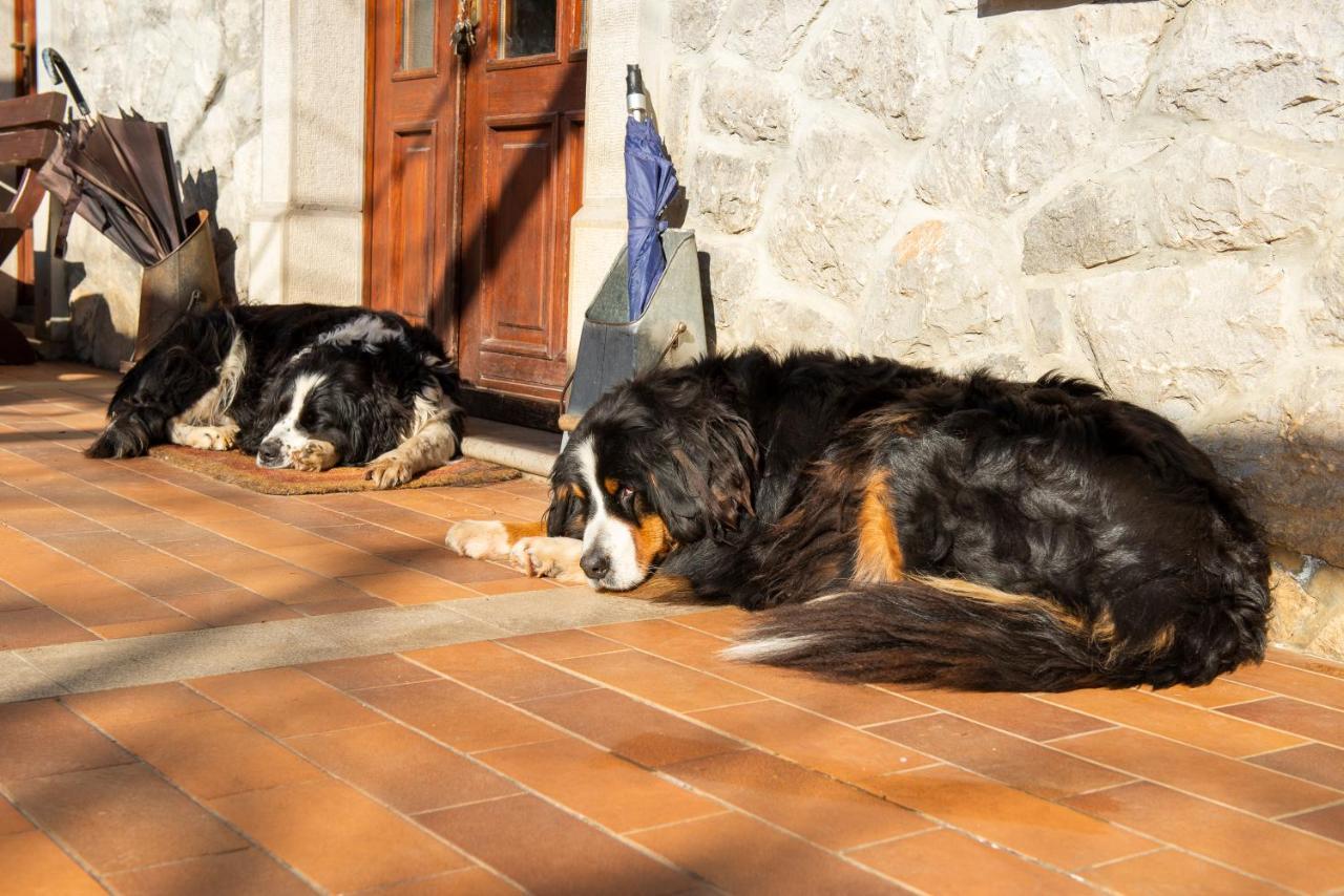 Tourist Farm Skerlj Villa Dutovlje Esterno foto